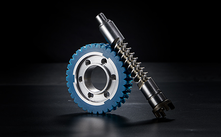 Special Worm Gear For Automobile EPS